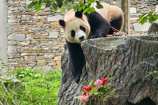 雷竞技苹果手机二维码图片截图0